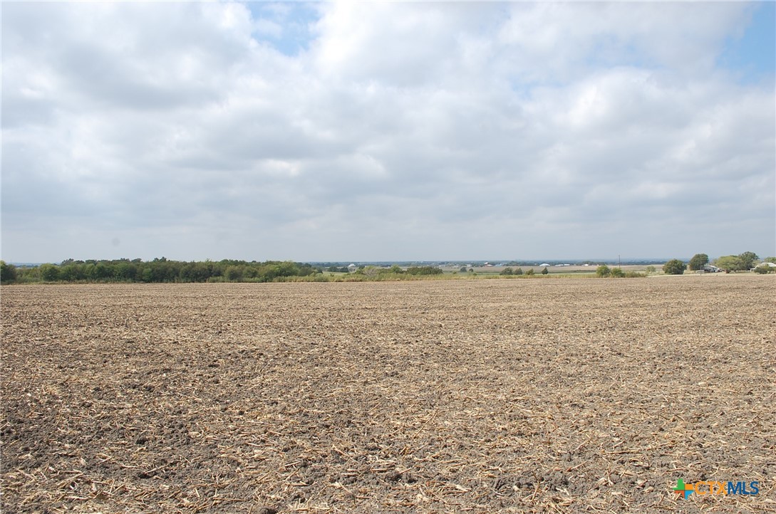 0 Tract 3a, Fm 2904 Road Property Photo 8