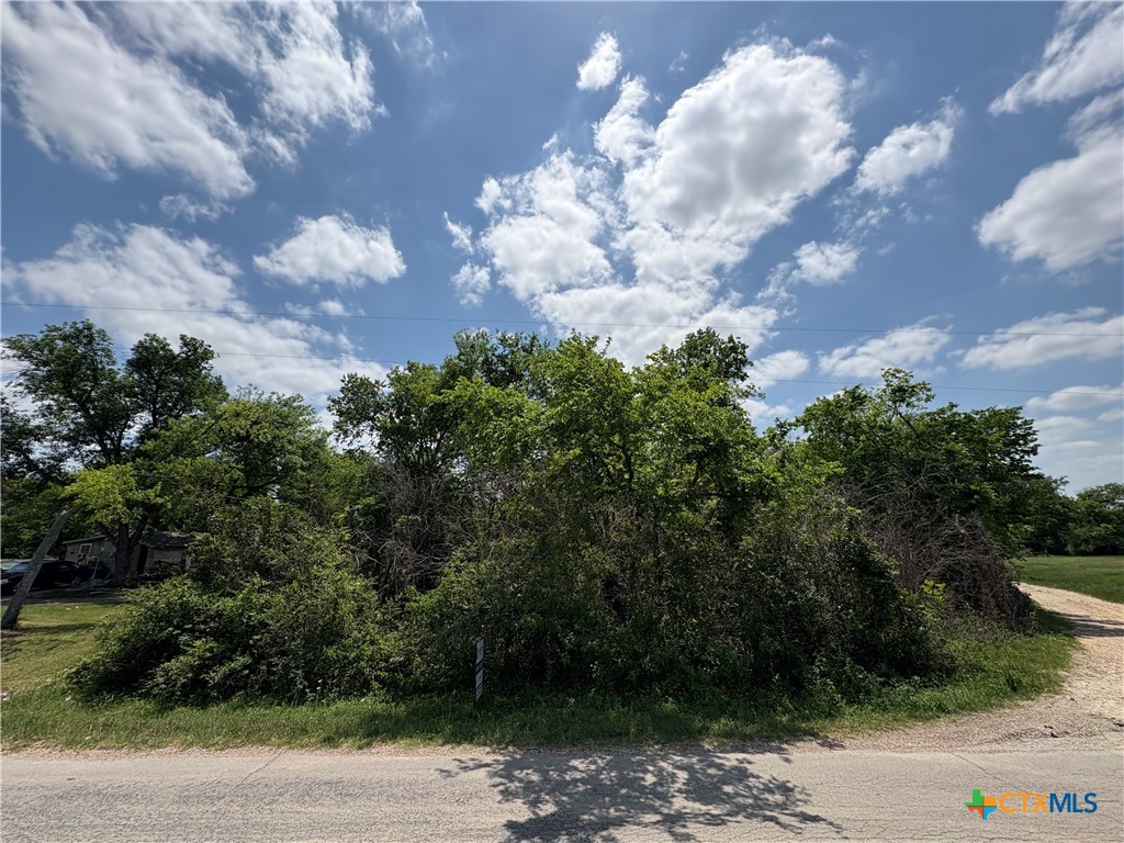 1009 E Shell Avenue Property Photo