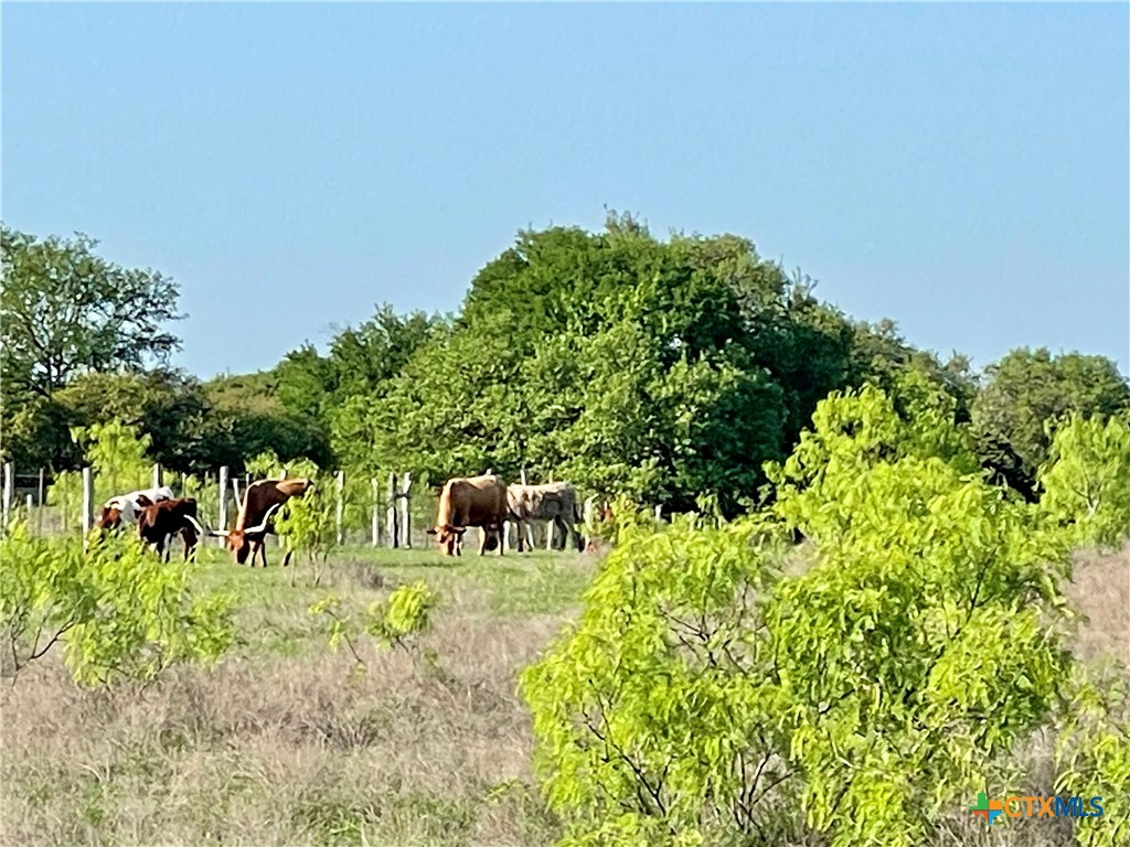 6670 W Fm 436 Property Photo 43