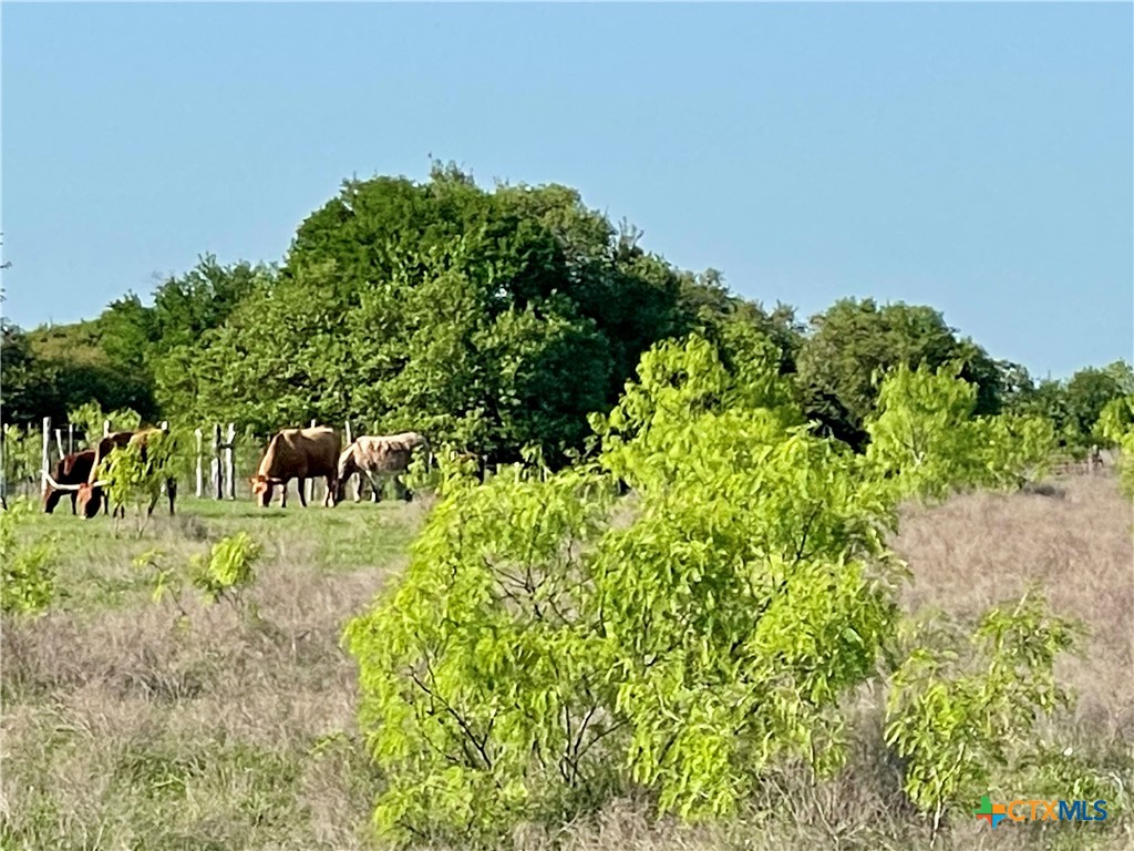 6670 W Fm 436 Property Photo 44