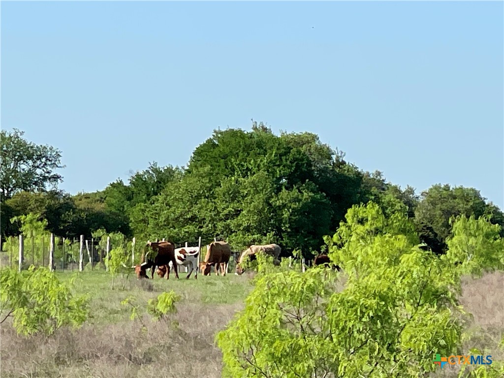 6670 W Fm 436 Property Photo 45