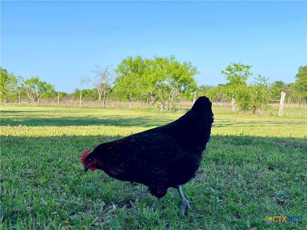 6670 W Fm 436 Property Photo 46