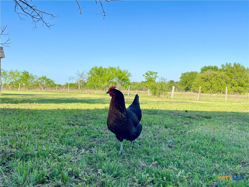 6670 W Fm 436 Property Photo 47