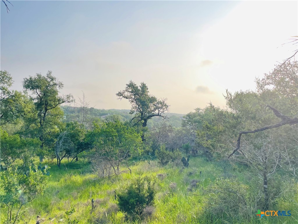 395 Shady Hollow Property Photo 1
