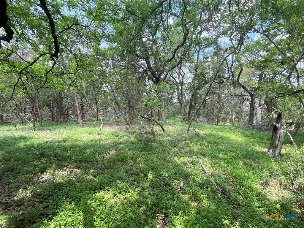 Tbd Piedras Pass Property Photo 3