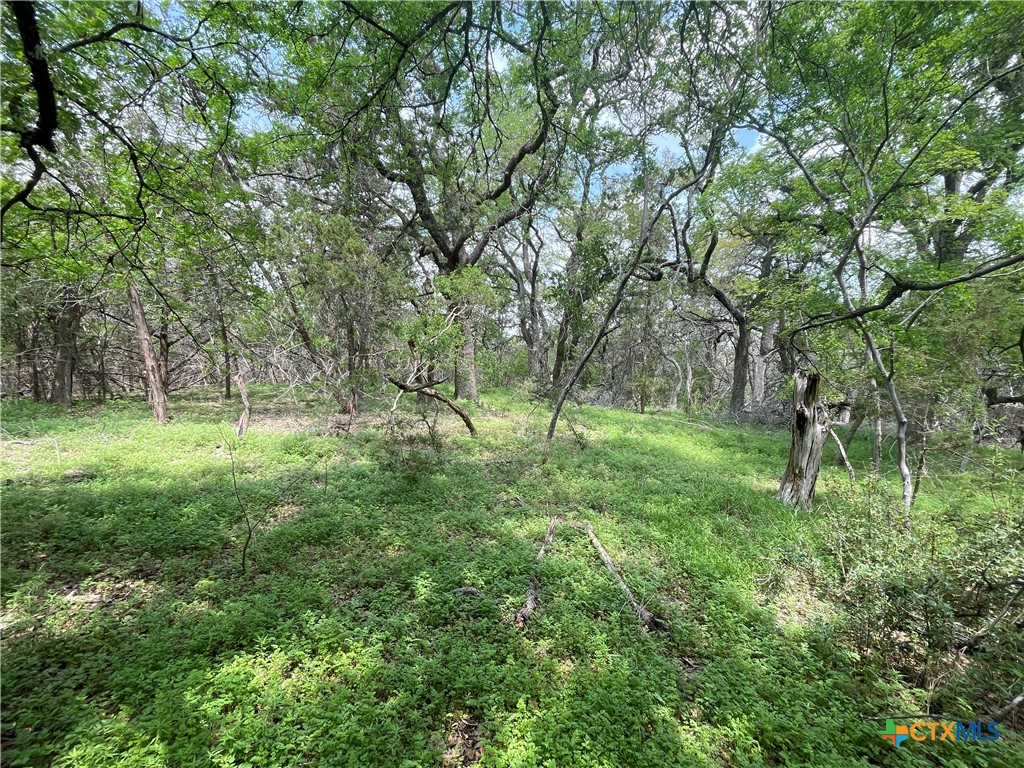 Tbd Piedras Pass Property Photo 4