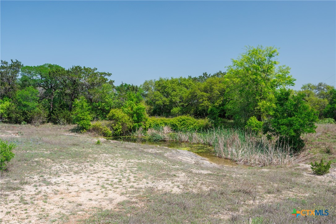 Tbd Piedras Pass Property Photo 5
