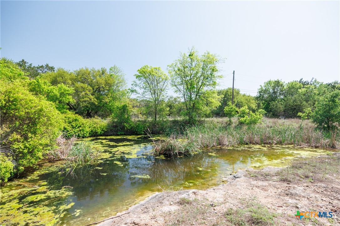 Tbd Piedras Pass Property Photo 6