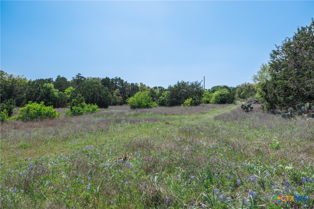 Tbd Piedras Pass Property Photo 7