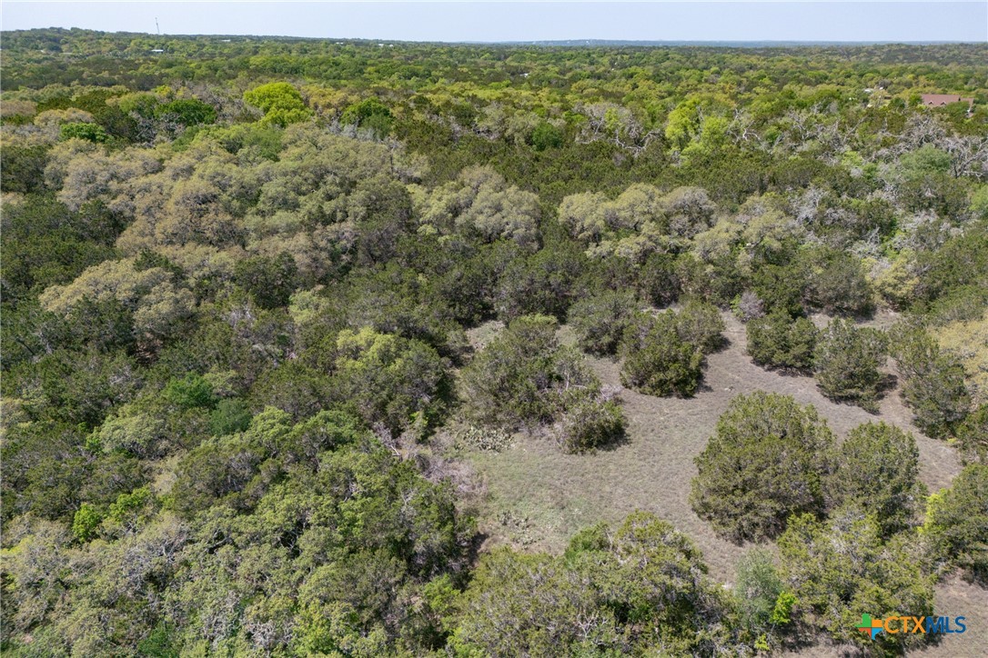 Tbd Piedras Pass Property Photo 12
