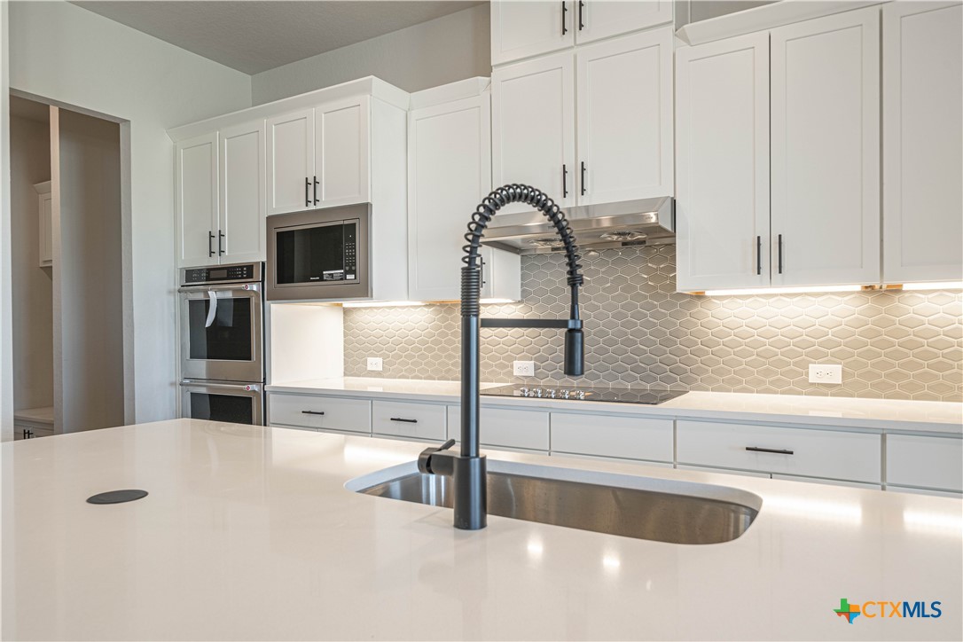 254 Firewheel Lp Property Photo 10