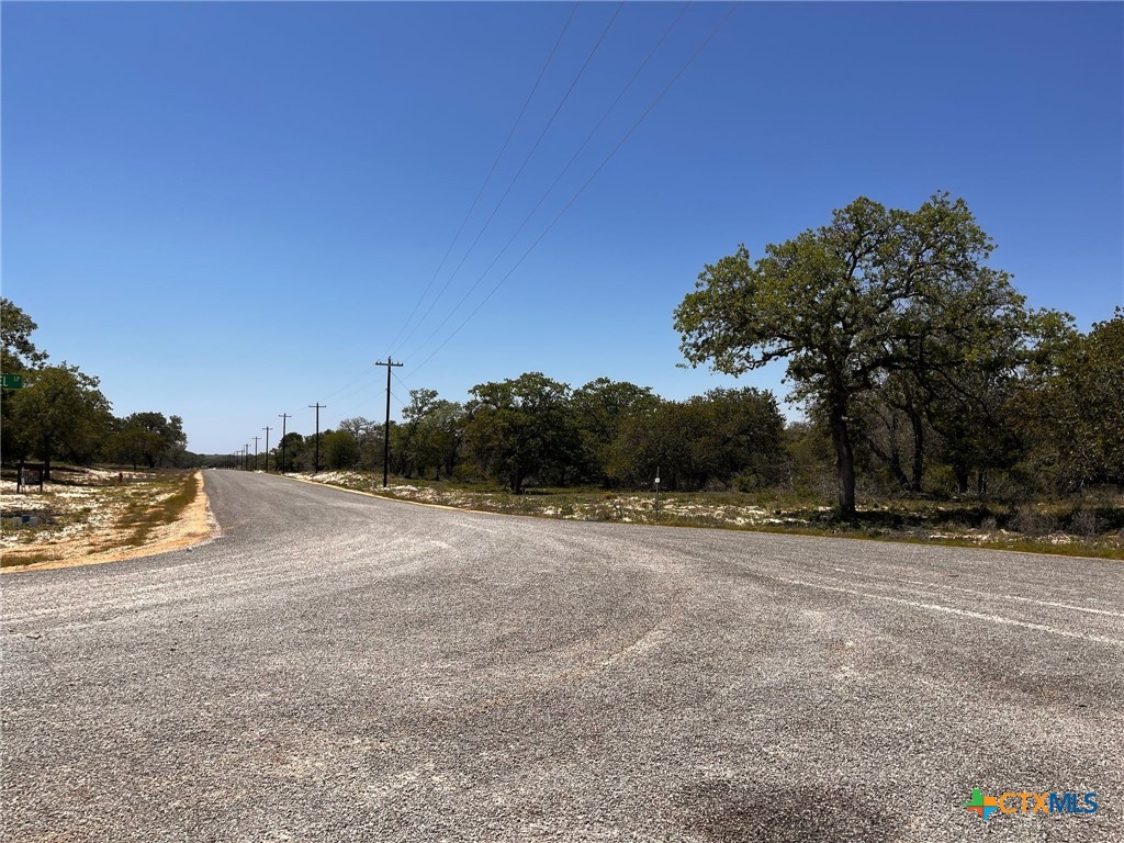 254 Firewheel Lp Property Photo 13