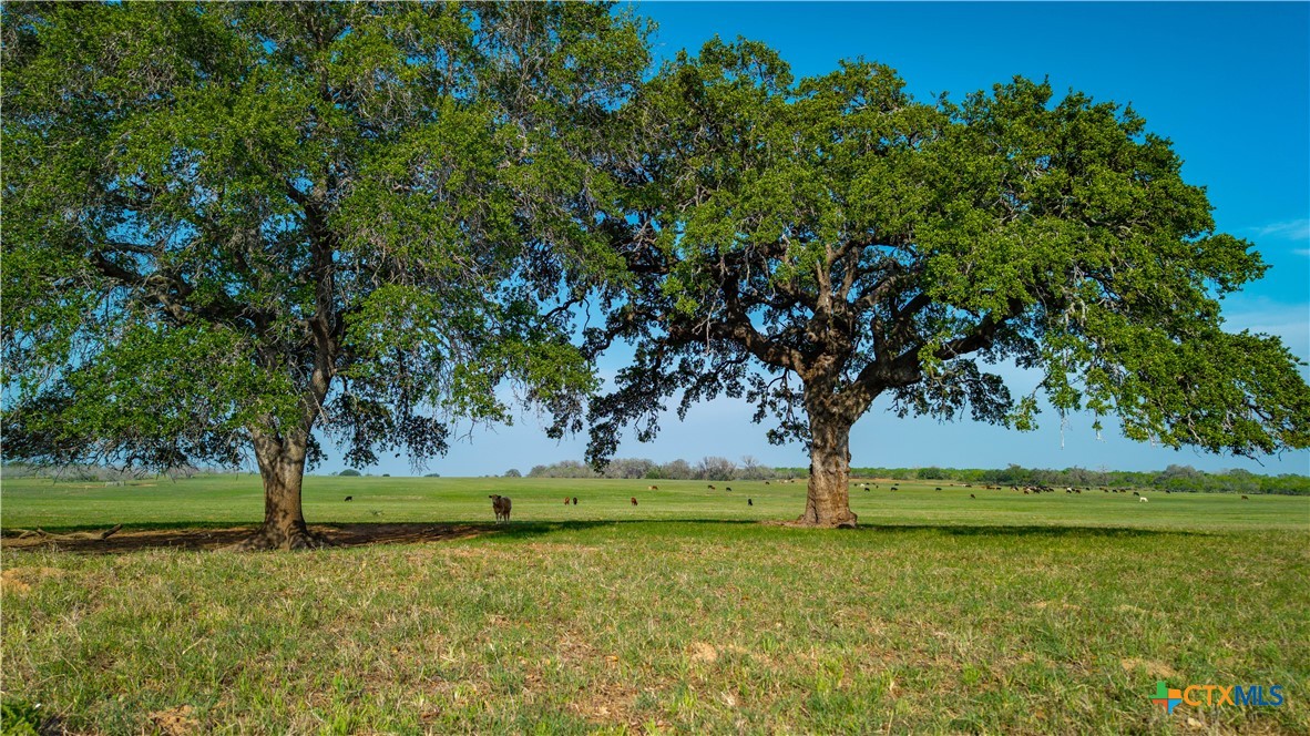 Tbd County Road 404 Property Photo