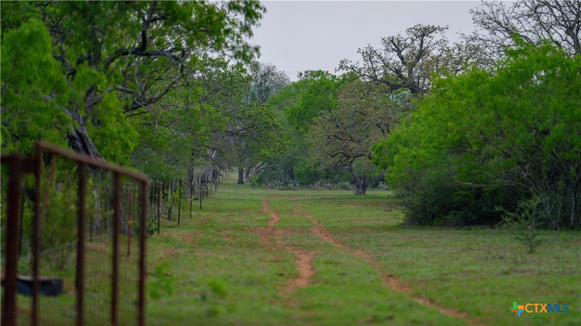 Tbd County Road 404 Property Photo 6
