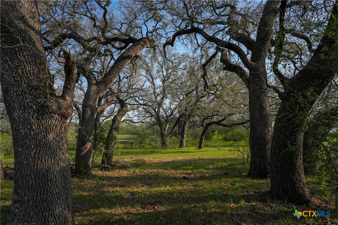 Tbd County Road 404 Property Photo 13