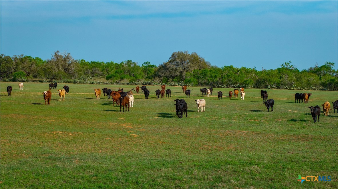 Tbd County Road 404 Property Photo 23