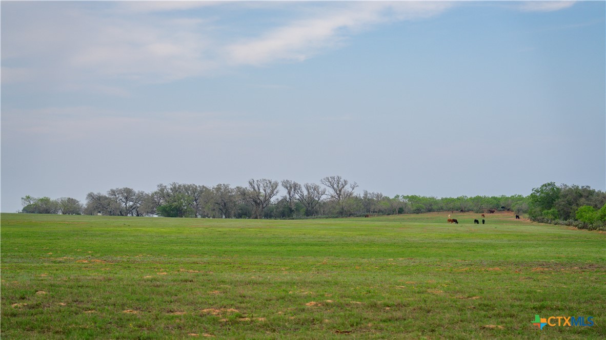 Tbd County Road 404 Property Photo 31