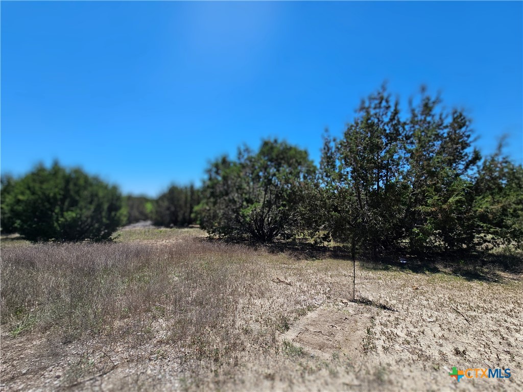 Lot 25 Alta Vista Drive Property Photo