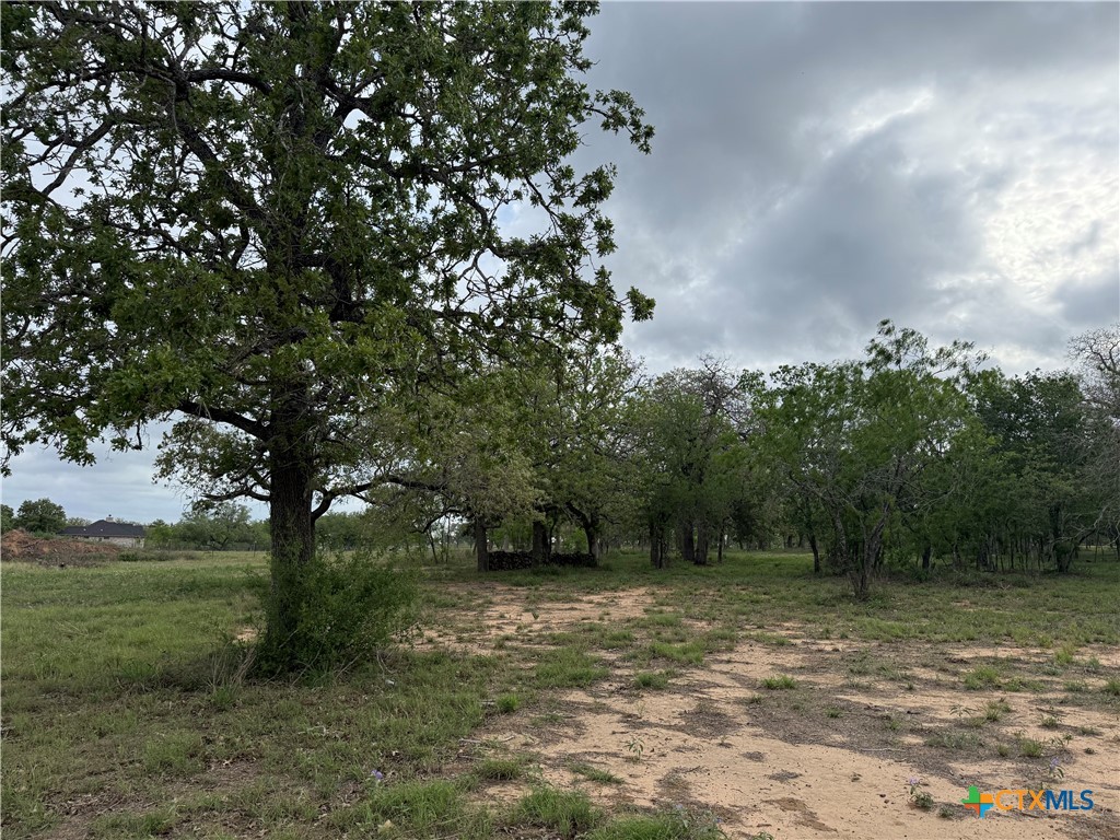 3661 State Highway 123 Property Photo 1