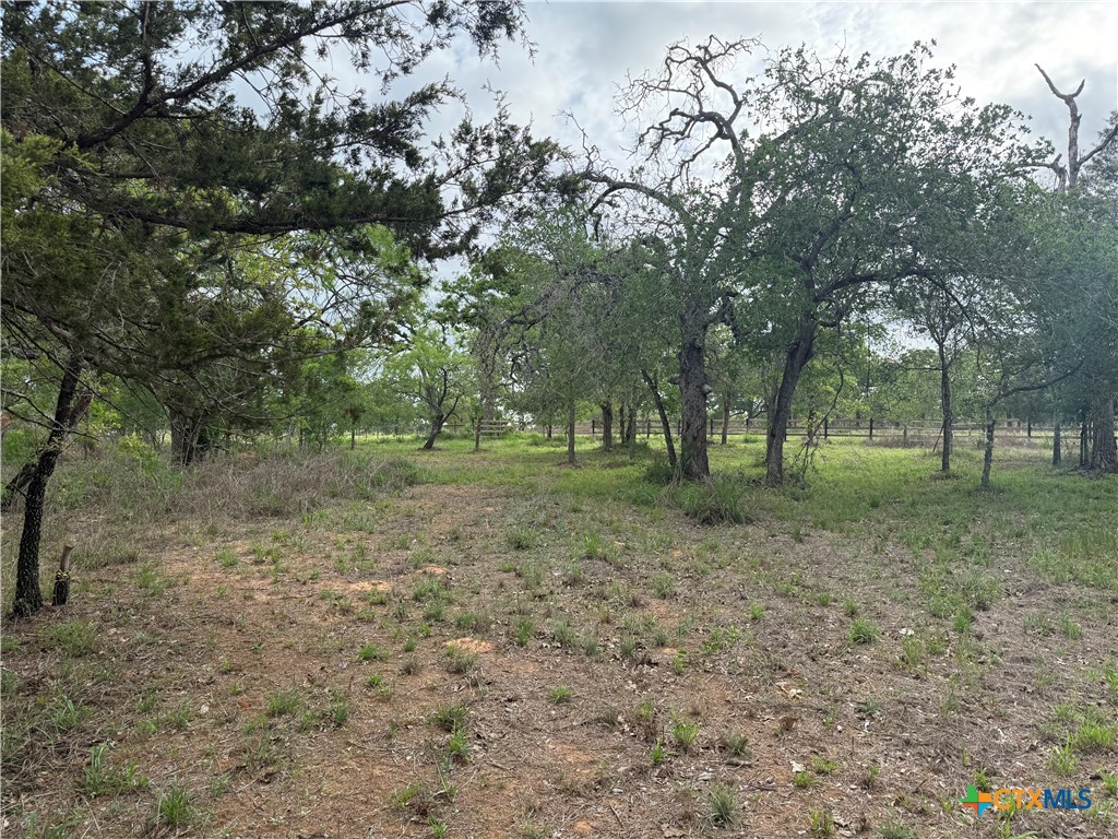 3661 State Highway 123 Property Photo 3