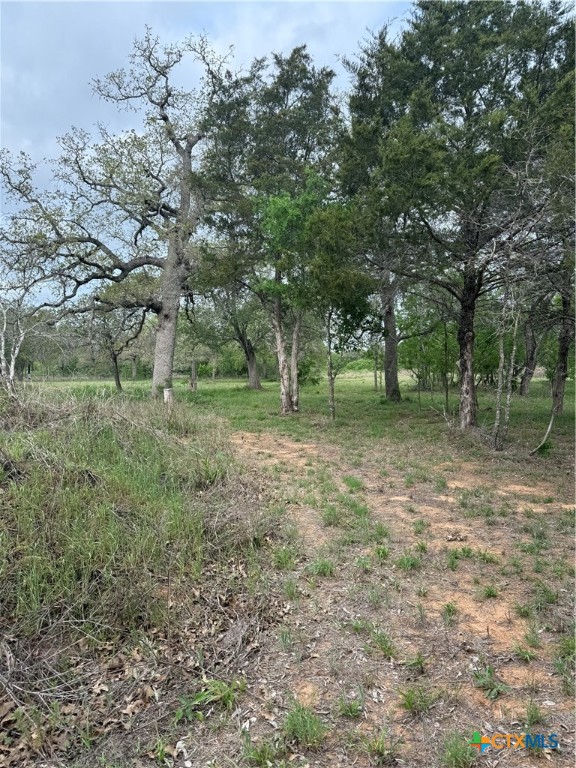 3661 State Highway 123 Property Photo 4