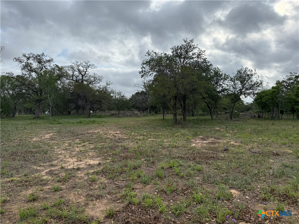 3661 State Highway 123 Property Photo 5