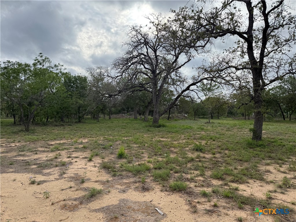 3661 State Highway 123 Property Photo 6