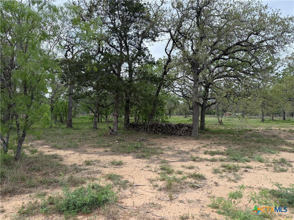 3661 State Highway 123 Property Photo 7