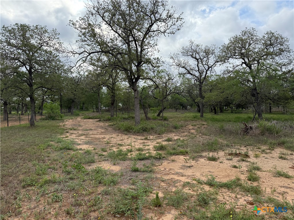 3661 State Highway 123 Property Photo 8