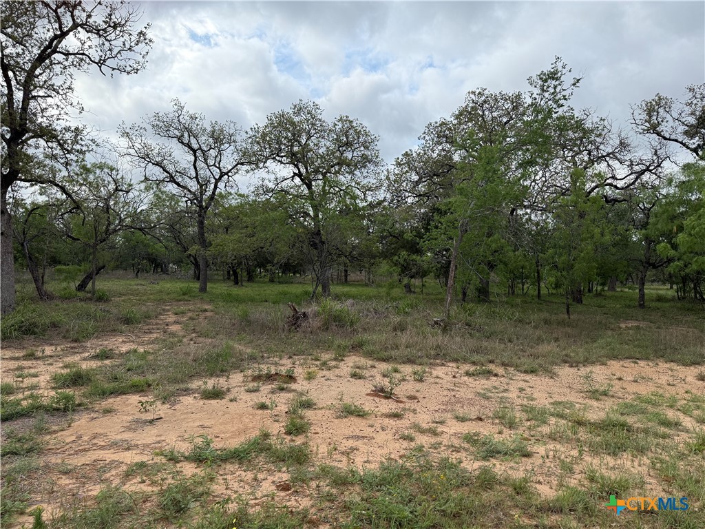 3661 State Highway 123 Property Photo 9