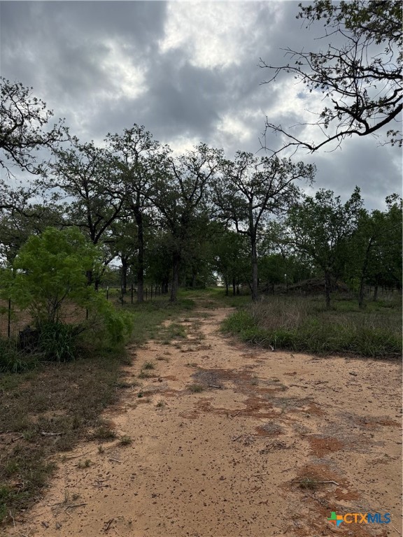 3661 State Highway 123 Property Photo 10