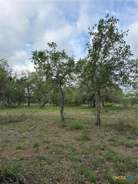 3661 State Highway 123 Property Photo 11