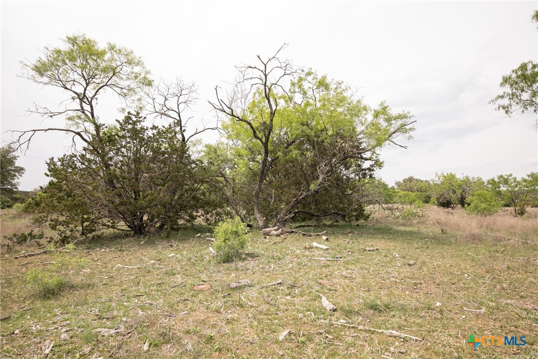 Lot 23 Shin Oak Drive Property Photo 23