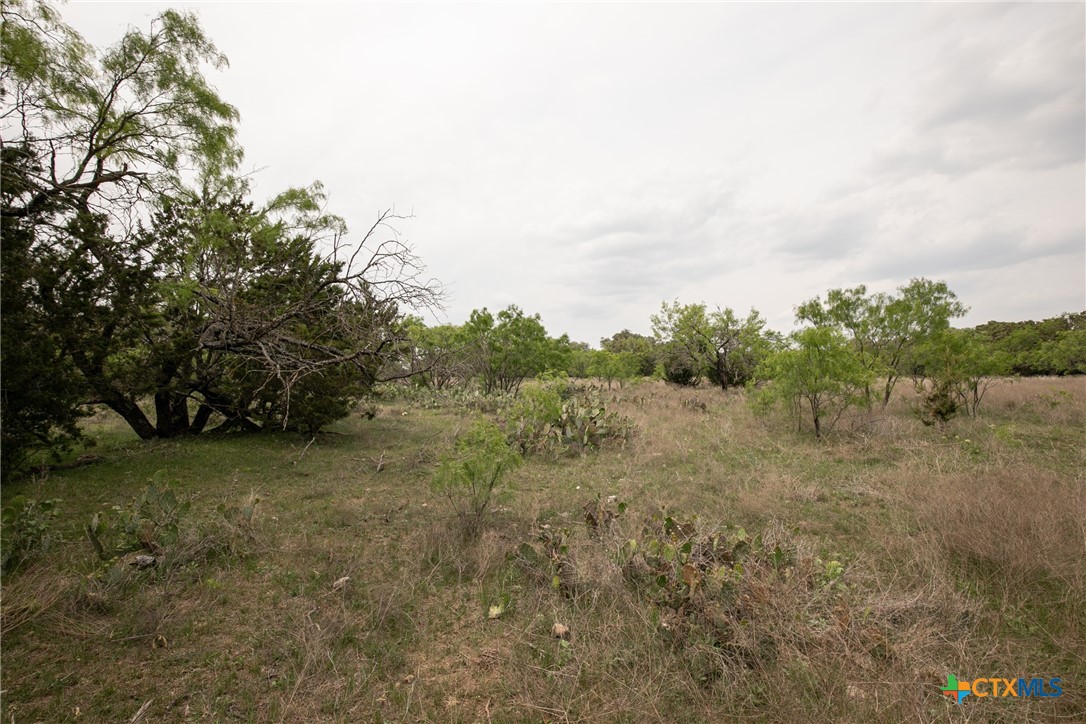 Lot 23 Shin Oak Drive Property Photo 25