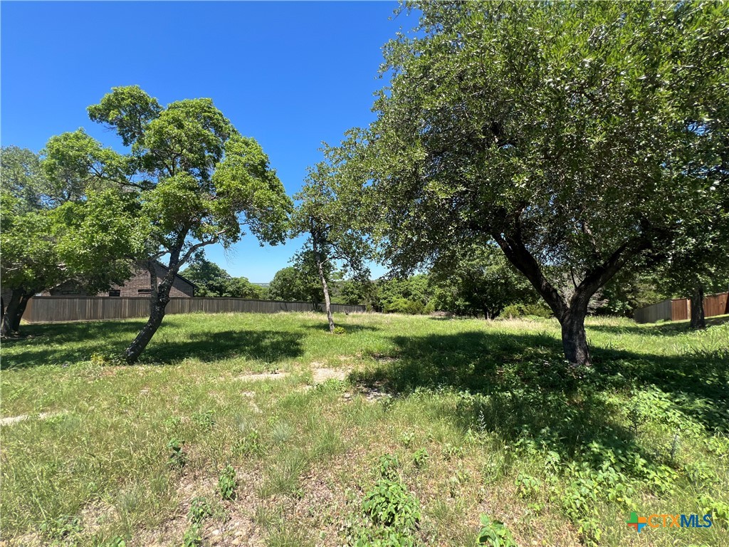 8404 Jericho Bluff Property Photo 1