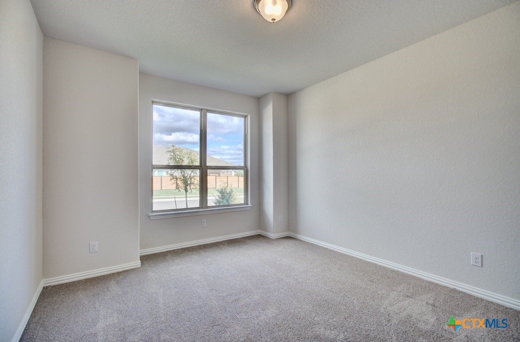 12192 Heartvine Parkway Property Photo 17