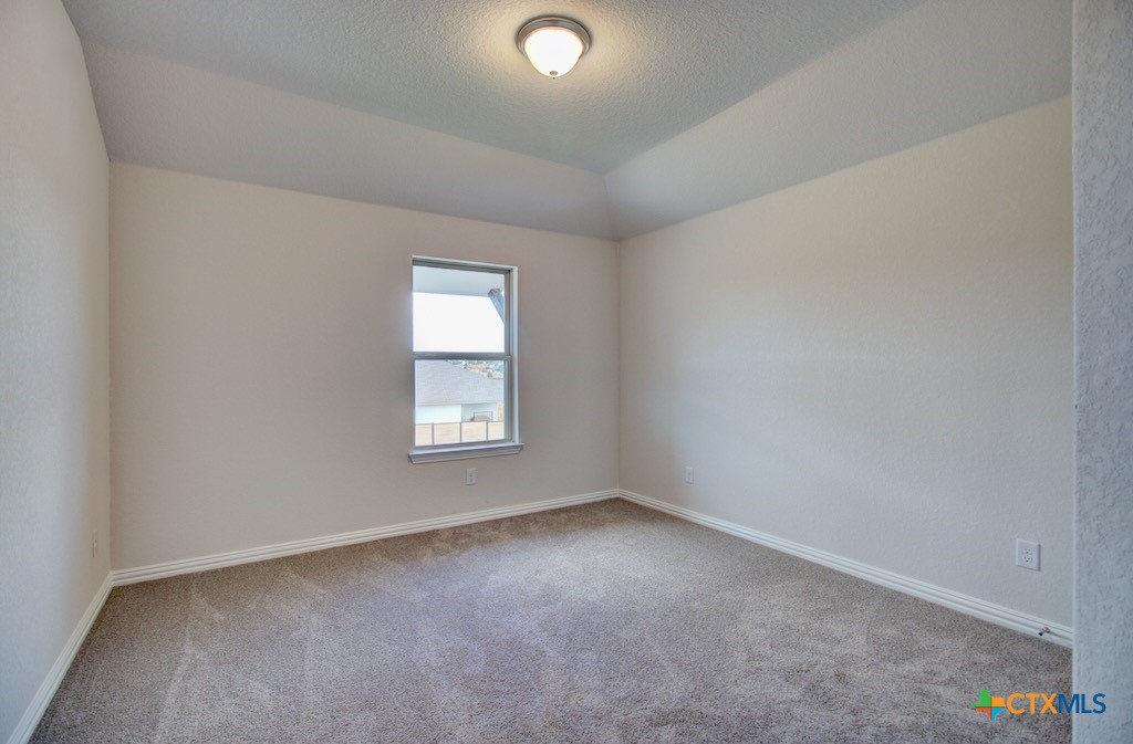 12192 Heartvine Parkway Property Photo 20