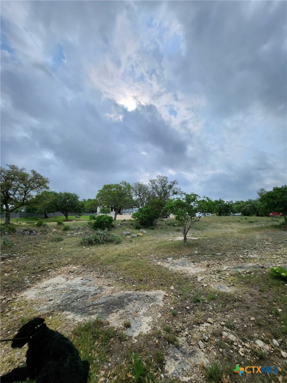 1279 Kings Cove Drive Property Photo 12
