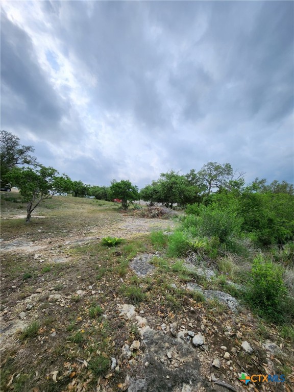 1279 Kings Cove Drive Property Photo 13