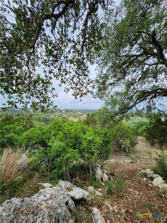 1279 Kings Cove Drive Property Photo 16