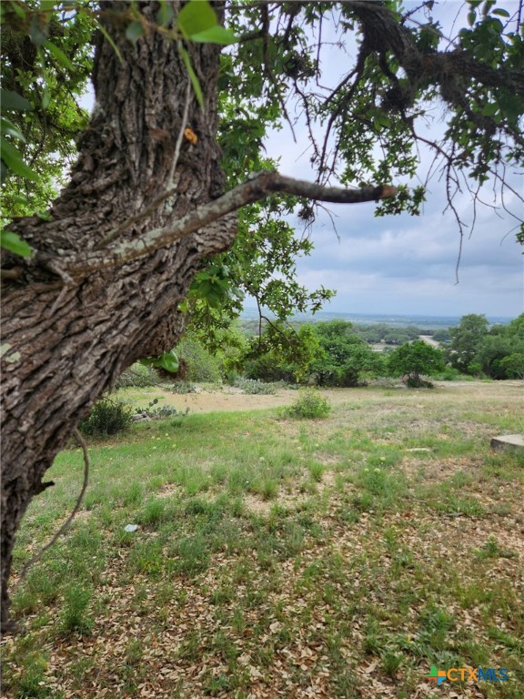 1279 Kings Cove Drive Property Photo 17