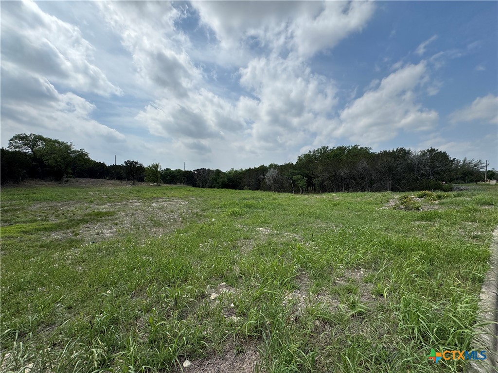 Tbd Hickory Drive Property Photo 2