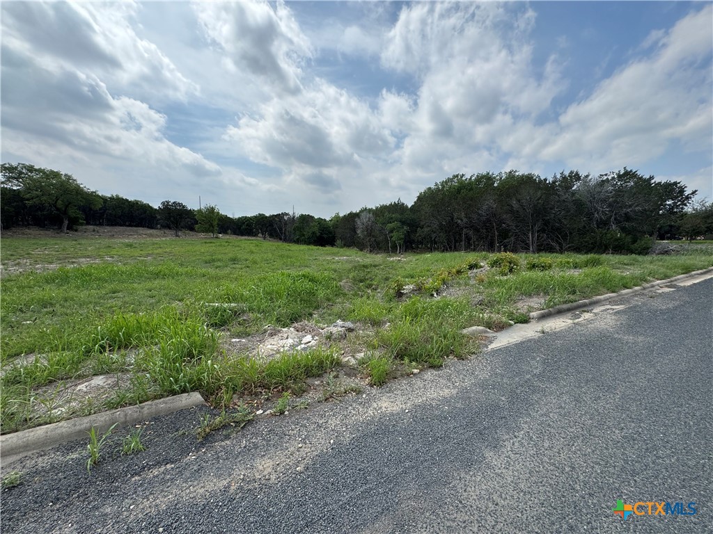 Tbd Hickory Drive Property Photo 4