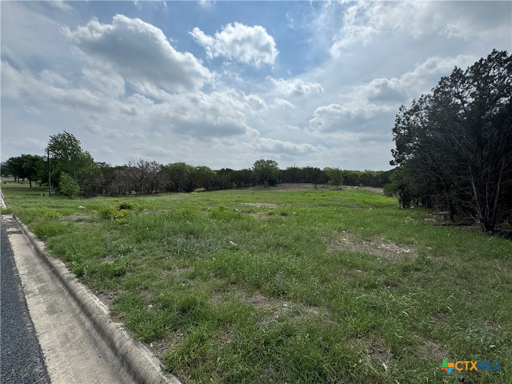 Tbd Hickory Drive Property Photo 5