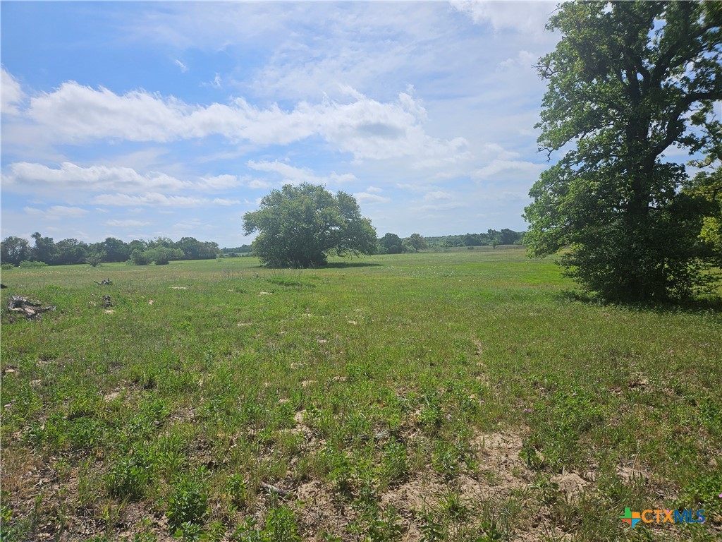 8912 Cr 322 Property Photo 5