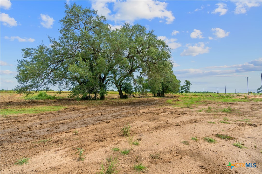 140 Ferguson Loop Property Photo 10