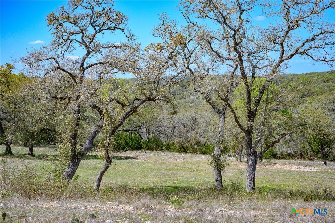 5922 Colin Ridge Property Photo 27