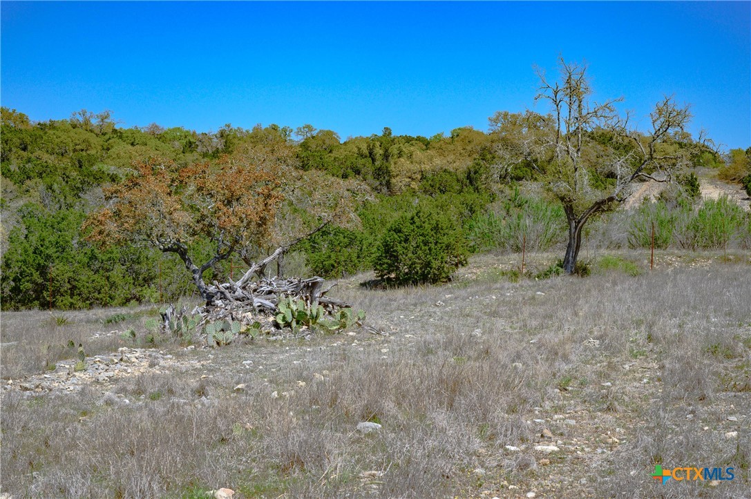 5922 Colin Ridge Property Photo 29