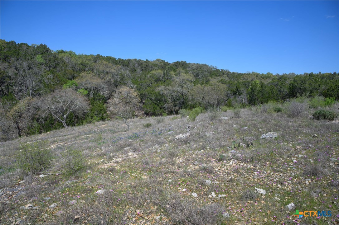 5922 Colin Ridge Property Photo 32