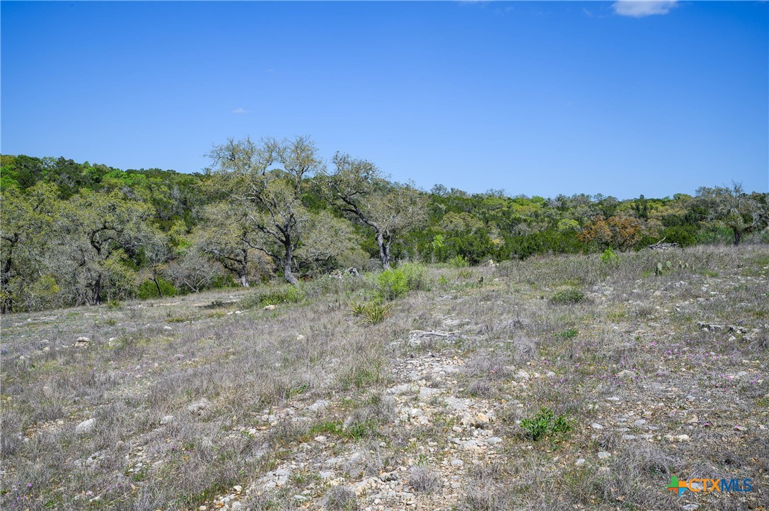 5922 Colin Ridge Property Photo 33